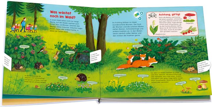 Produktbild Bookii WAS IST WAS Kindergarten Entdecke den Wald (Deutsch, Johann Steinstraat, Andrea Weller-Essers, 2018)