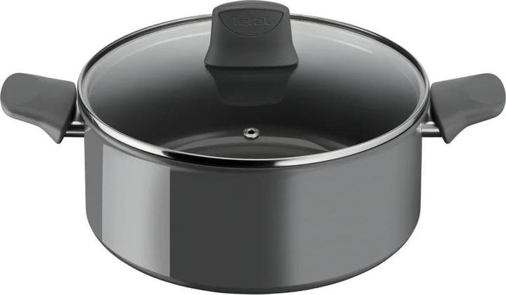 Produktbild Tefal Erneuerungstopf mit Deckel 24 cm (C4264673)