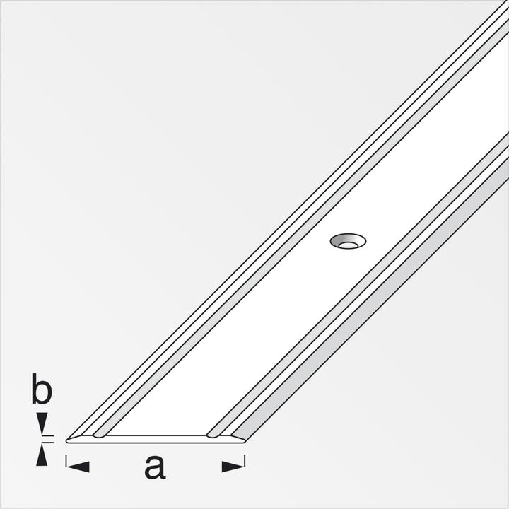 Actual product image Alfer Transition profile