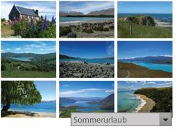 Produktbild ACDSee Foto Manager 12