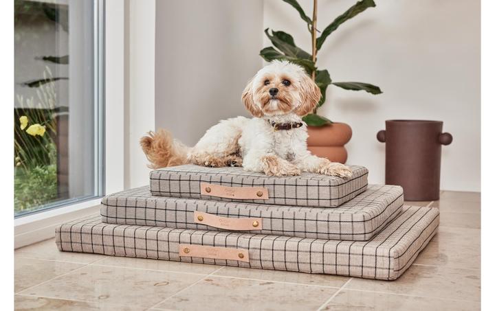 Actual product image Oyoy Milo (Dog)