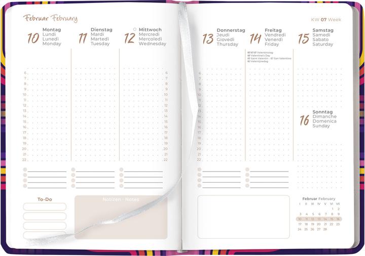 Produktbild Alpha Edition Ladytimer Retro 2025 Taschenkalender, 10,7x15,2cm, Kalender mit 192 Seiten (Deutsch)