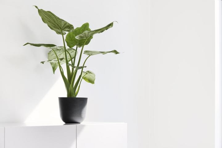 Produktbild Ecopots Oslo Mini (19 cm)