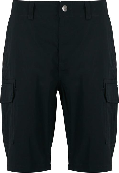 Dickies Millerville Shorts - 81689 (36, L)