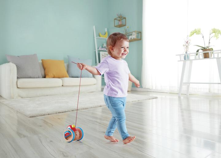Actual product image Hape Birdie