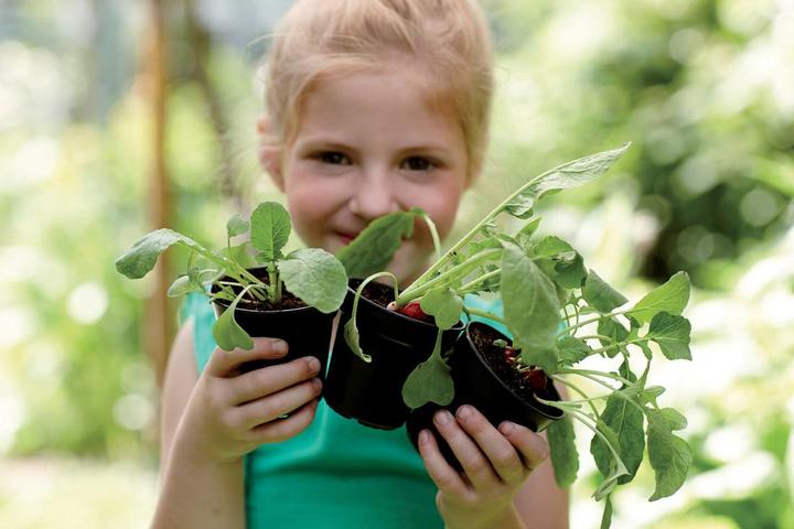 Immagine prodotto Elho Set di vasi di propagazione Greenbasics