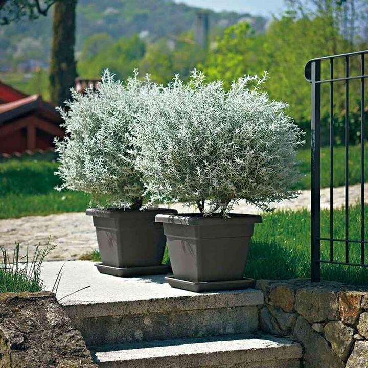 Actual product image Euro3plast Planter (25 cm)