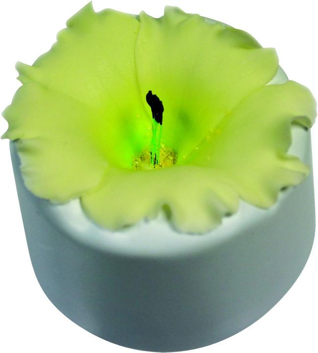 Immagine prodotto Martellato Fiore ex piccolo