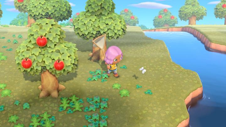 Actual product image Nintendo Animal Crossing: New Horizons (Switch, DE)