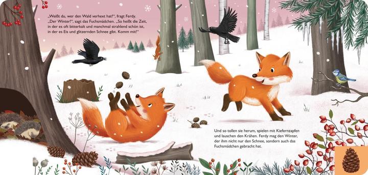 Image du produit Mon premier livre de saisons : Ferdy, le petit renard (Allemand)