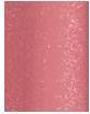 Actual product image Dior Addict Lip Maximizer (012 Rosewood)