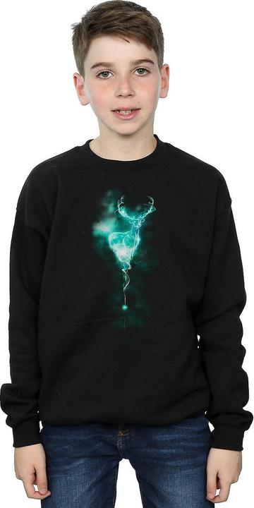 Produktbild Patronus Mist Sweatshirt Jungen (140, 146)