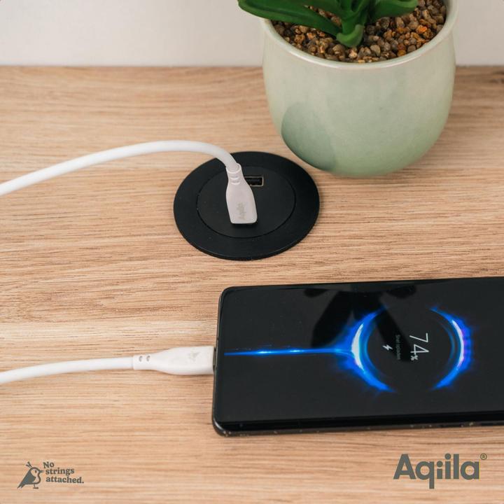 Produktbild Aqiila Cablebird CS12 - USB-C to USB-C Silicon cable, 60W (2m) - White (2 m, USB 2.0, 60 W)