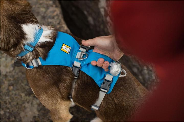 Actual product image Ruffwear Flagline dog harness (XS, Dog)