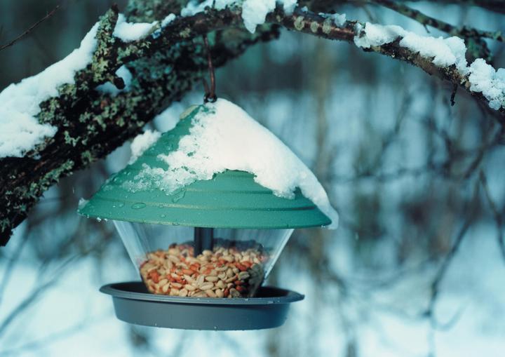 Immagine prodotto Siena Garden Mangiatoia per uccelli