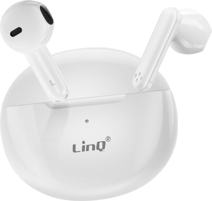 Actual product image LinQ R9561 (4 h, Wireless)