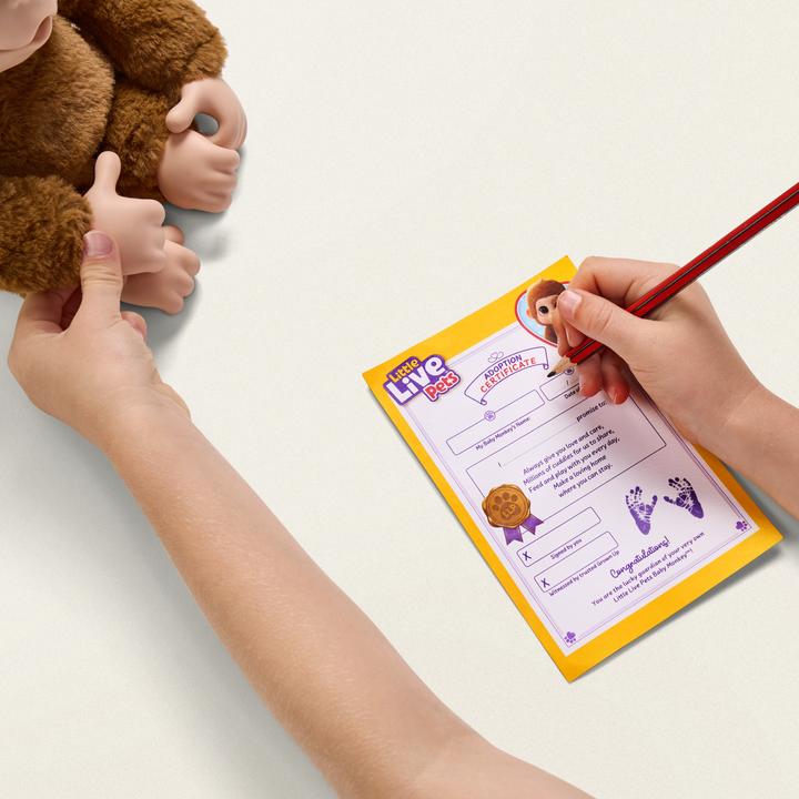 Immagine prodotto Little Piccoli animali domestici vivi di scimmia (30 cm)