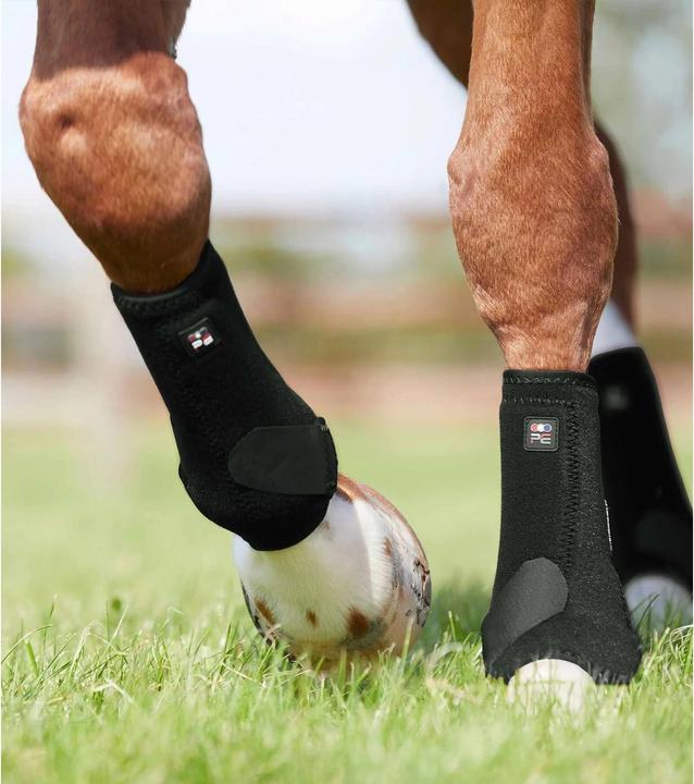 Actual product image Premier Equine horse gaiters preier equine air-tech sports edecine