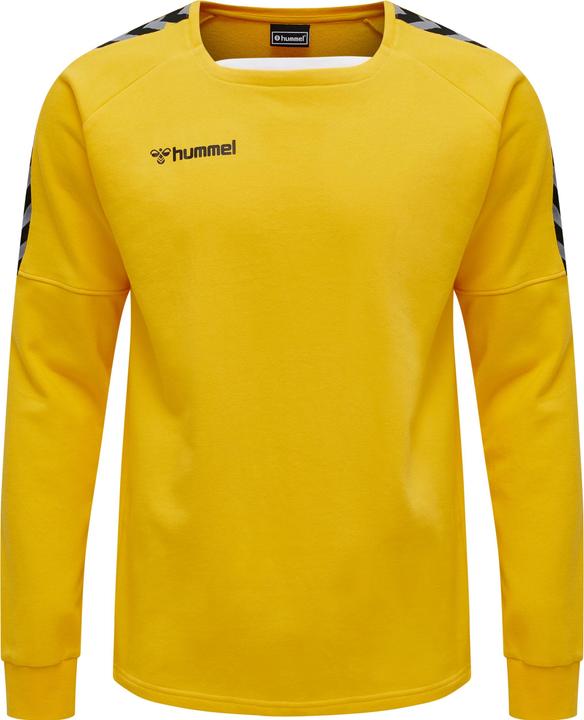Image du produit hummel Sweat D'Entraînement Authentique (XXL)