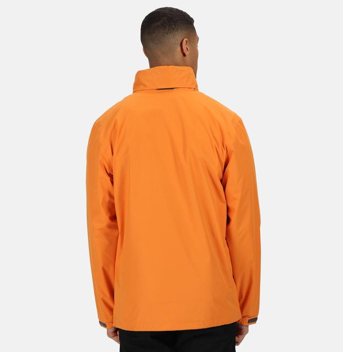 Image du produit Regatta UTRG1603 P (XXL)