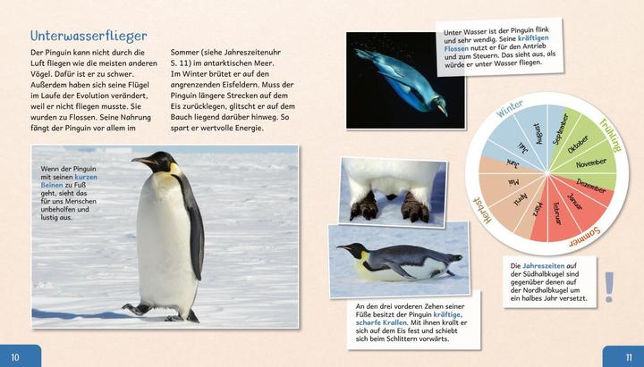 Actual product image Meine grosse Tierbibliothek: Der Pinguin (German, Dr. Jens Poschadel, 2020)