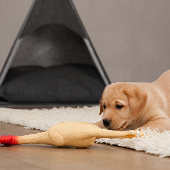 Produktbild Relaxdays Hundezelt (Hundezelt)