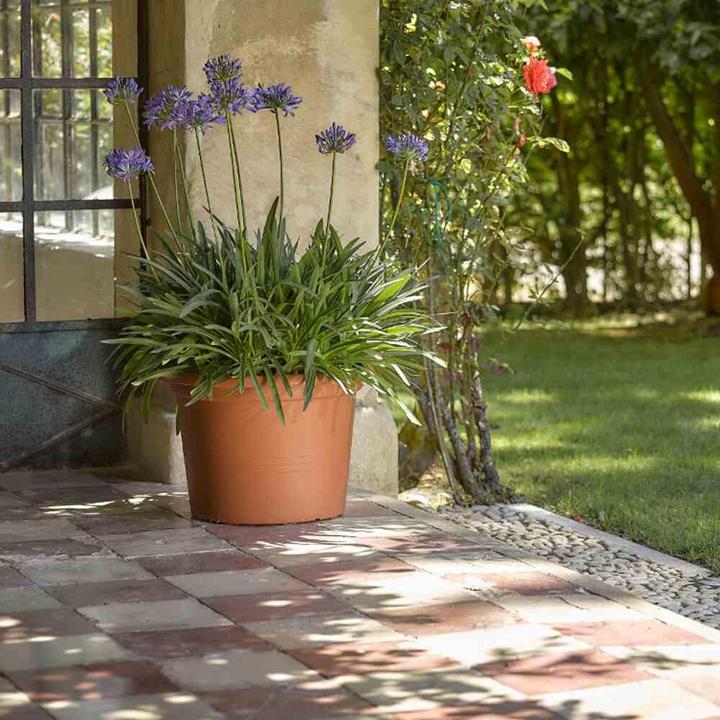 Actual product image Euro3plast Planter (70 cm)