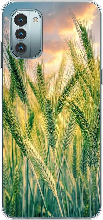 Cornfield