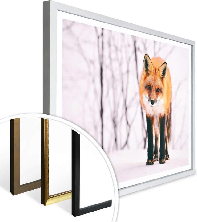 Actual product image Trenddeko Fox in the snow - 2 parts (80 x 60 cm)