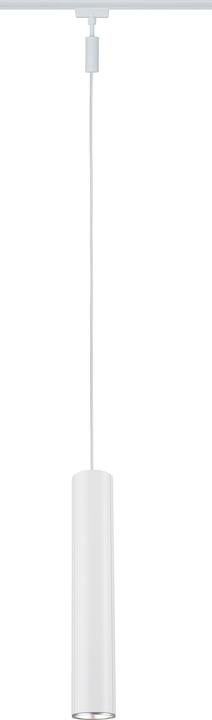 Signal white