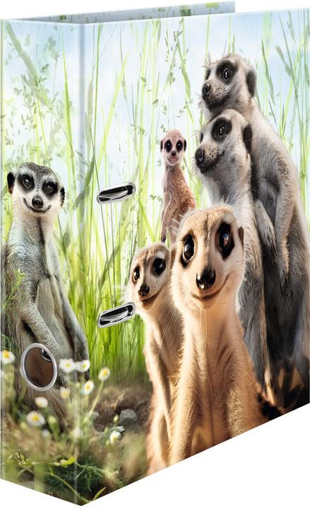 Immagine prodotto Herma Meerkat (A4, 70 mm, 1 Pezzo/i)