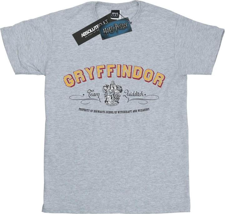 Actual product image Boys Gryffindor Team Quidditch T-Shirt (152, 158)
