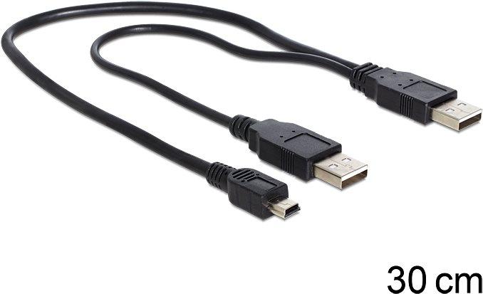 Image du produit Delock 2 x USB-A - USB mini 5 broches (0.30 m, USB 2.0)