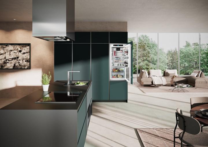 Immagine prodotto Liebherr IRBbi4170-22 Peak BioFresh (191 l)