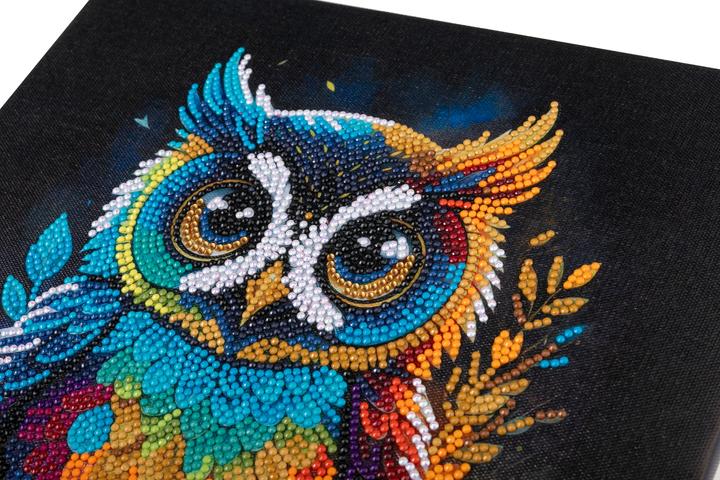 Image du produit Craft Buddy Hibou, 30x30cm Crystal Art Kit