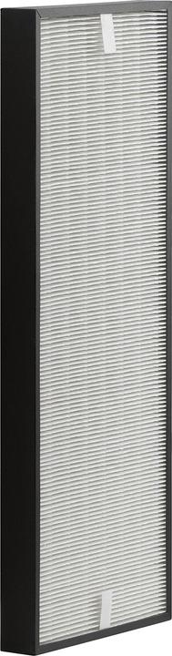 Actual product image Rowenta XD6070 Hepa Filter/PU4010 (1 x)