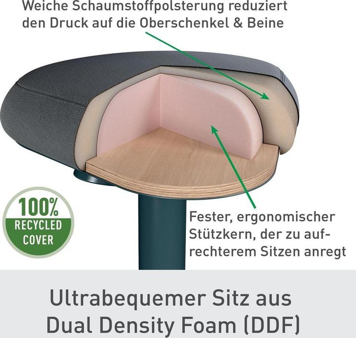 Produktbild Leitz Ergo Active