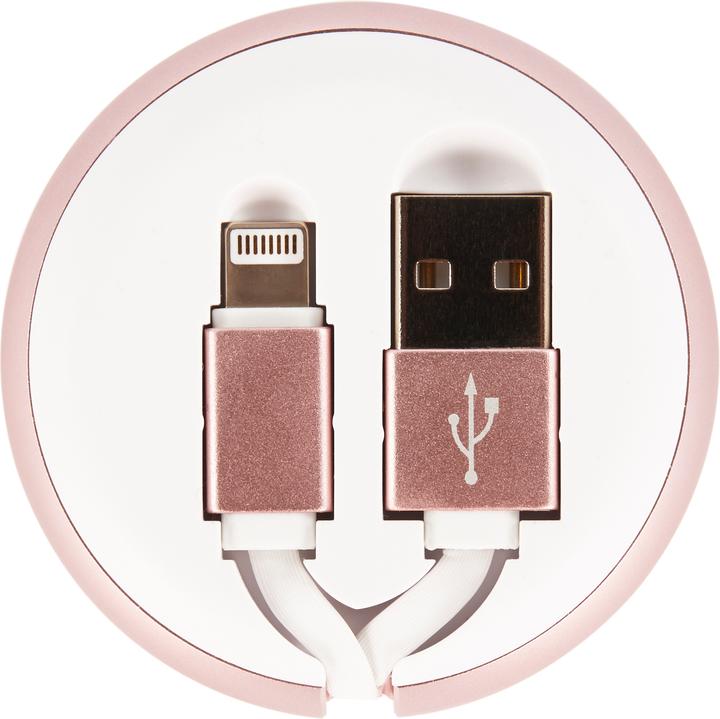 Image du produit Richmond & Finch Câble Lightning avec boîtier enrouleur (0.90 m, USB 2.0)