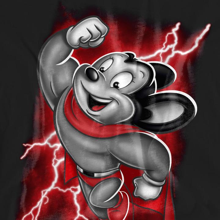Produktbild Fruit of the Loom Mighty TShirt (L)