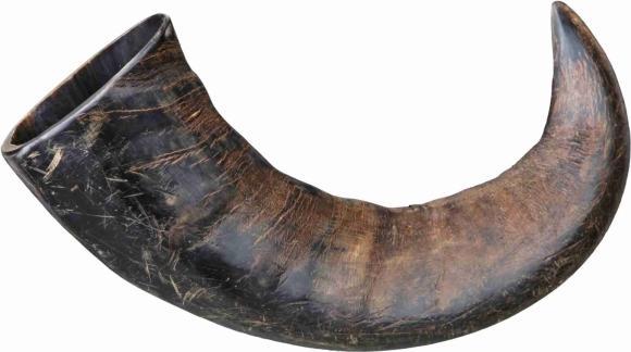 Actual product image Trixie Natural chewing horn from buffalo (Adult, 1 pcs., 0.58 g)