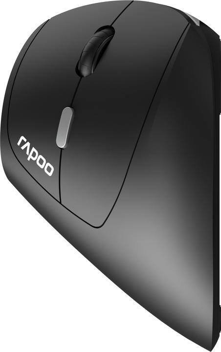 Rapoo EV250 Maus right RF Wireless Optical 1600 DPI (Wireless)
