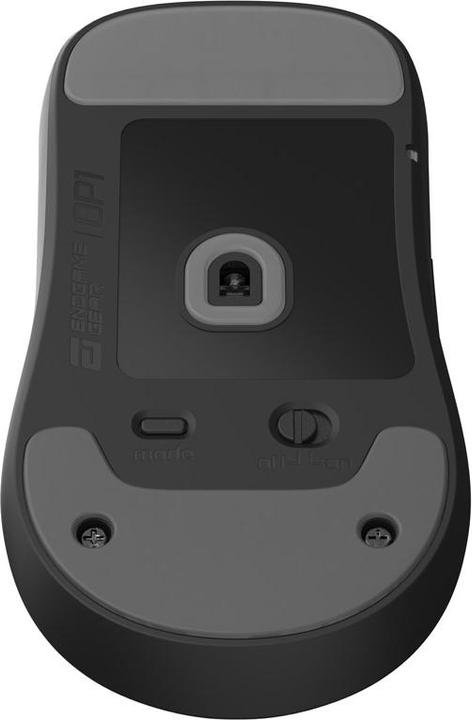 Actual product image Endgame Gear OP1 Mouse Skates, 100% PTFE, milky white, single set