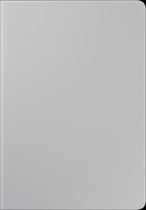 Mystic Silver