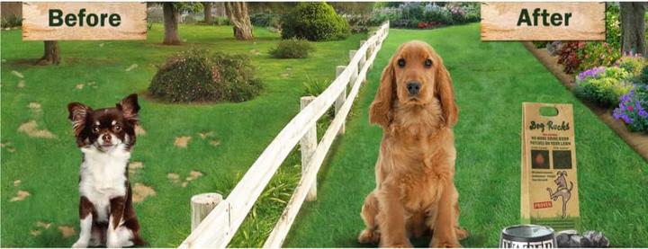 Produktbild Dog Rocks Parker (Hund)