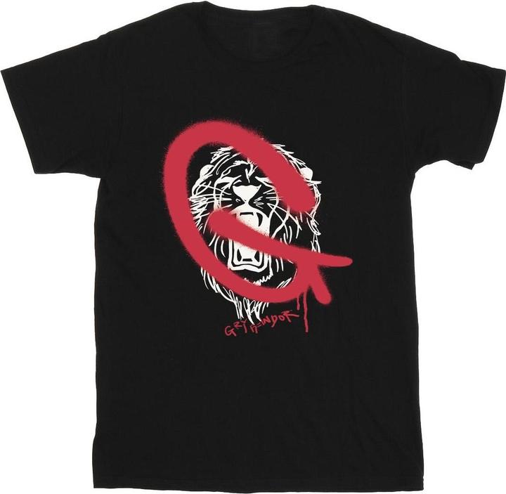 Actual product image Boys Gryffindor Pop Spray T-Shirt (140, 146)