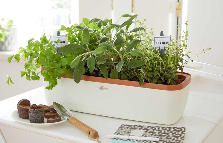 Actual product image Romberg Indoor greenhouse