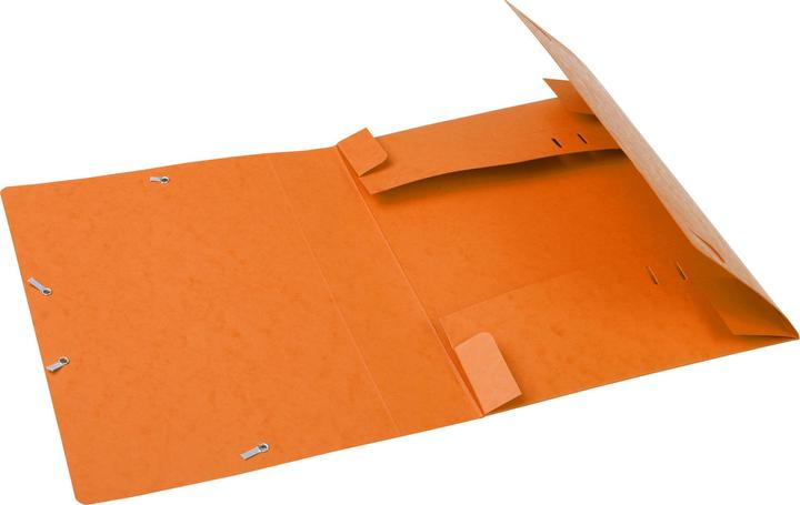 Actual product image Exacompta Archivboxen (A4)
