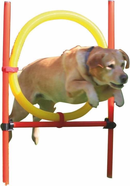 Image du produit Kerbl Kit complet (Taille unique, Agility)