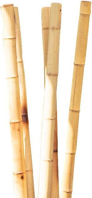 Produktbild Windhager Bambus-Rohr