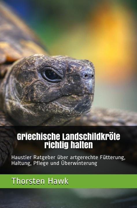 Produktbild Hawk:Griechische Landschildkröte richti